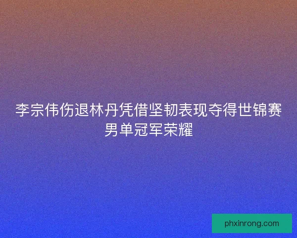 李宗伟伤退林丹凭借坚韧表现夺得世锦赛男单冠军荣耀
