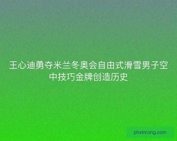 王心迪勇夺米兰冬奥会自由式滑雪男子空中技巧金牌创造历史
